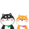 ️Chay duo dog   MOV 5