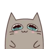 Chek Meow 6