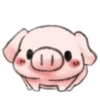 ️Pig    MOV 7