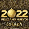 Happy New Year Names2 Mov 6