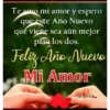 Feliz Año Nuevo 1 Movi 4