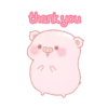 🐷🌸Cerditos pink💗🐷 7