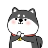 ️Chai dog   MOV 6