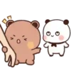 Sugar & Brownie (23) 6