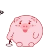️Pink balloon pig   MOV 7
