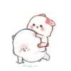 Molly lady rabbit 2 MOV 8