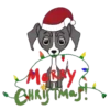 Christmas 9