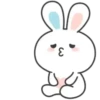 Bunny rainbow 7