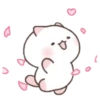 ️Cute pink Meow   MOV 5
