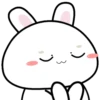 Baby rabbit  .MOV 6