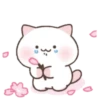 ️Cute pink Meow   MOV 6