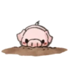 ️Pig    MOV 8