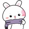 Baby rabbit  .MOV 7
