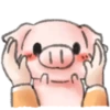 ️Pig    MOV 9
