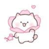 ️Cute pink Meow   MOV 8
