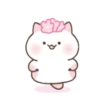 ️Cute pink Meow   MOV 9