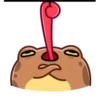 Angry  toad 13