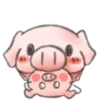 ️Pig    MOV 11