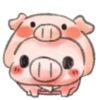 ️Pig    MOV 12