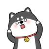 ️Chai dog   MOV 8