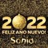 Happy New Year Names2 Mov 11