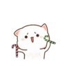 MOCHIS🐈CAT Extra"F" MOV 7