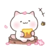 ️Cute pink Meow   MOV 11
