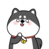 ️Chai dog   MOV 9