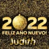 Happy New Year Names2 Mov 12