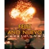 Variados 1  Movi 9