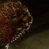 Fantastic animals  Movi 6