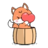 Cute orange fox  .MOV 7