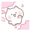 ️Cute pink Meow   MOV 15