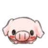 ️Pig    MOV 14