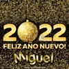 Happy New Year Names2 Mov 13