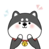 ️Chai dog   MOV 10
