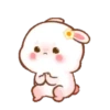 Molly lady rabbit 2 MOV 12