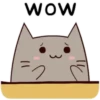Chek Meow 14