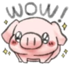 ️Pig    MOV 15