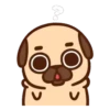 Pug Dog mov 9