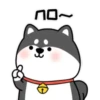 ️Chai dog   MOV 11