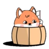 Cute orange fox  .MOV 9