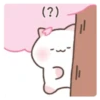 ️Cute pink Meow   MOV 16