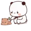 Sugar & Brownie (23) 16