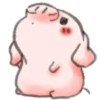 ️Pig    MOV 16
