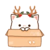 MOCHIS🐈CAT Extra"F" MOV 11