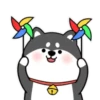 ️Chai dog   MOV 12