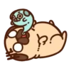 Pug Dog mov 13