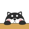 ️Chay duo dog   MOV 10