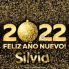 Happy New Year Names2 Mov 17